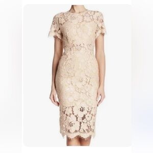 NSR Lace Floral Midi cocktail dress in blush
